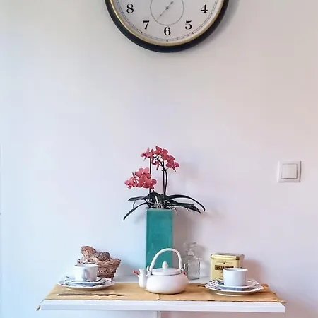 公寓 City-studio 布雷根茨