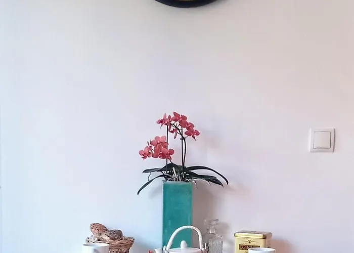 公寓 City-studio 布雷根茨